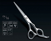 ������� ������ R16 5.5" SAMURAI