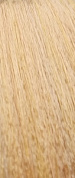 9CH ���������� 80 �� PROFESSIONAL BY FAMA
